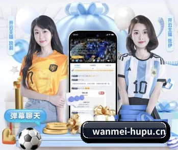五大服务分区,信息按项目分类（Wanmei）
